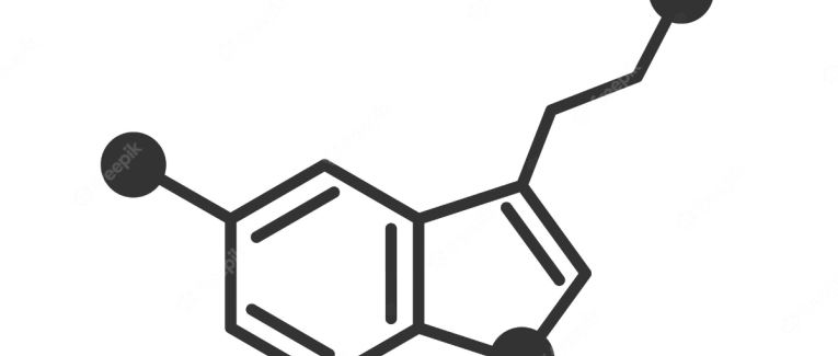 The Chemistry behind our happiness