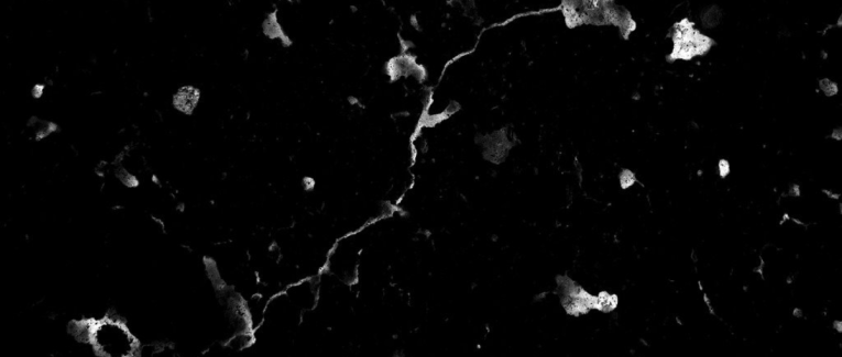 Le Prince de la Terreur