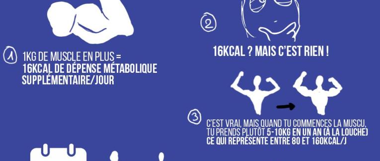 Construit du muscle pour perdre du poids facilement