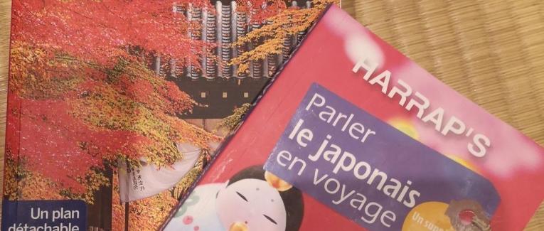Nippon...Ni Mauvais !