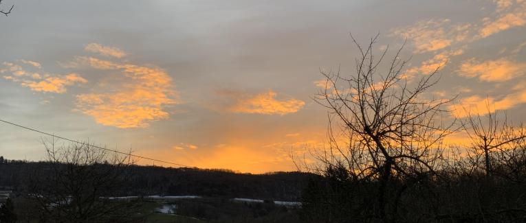 Le jardin du 20 Janvier