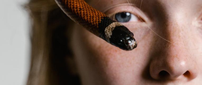 Serpent