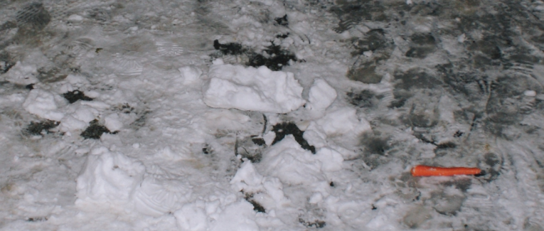 Enquête sur l'abominable assassinat d'un petit bonhomme de neige et tableau des trois principaux suspects