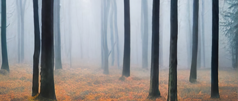 Sounds of Nature / Sounds Effects