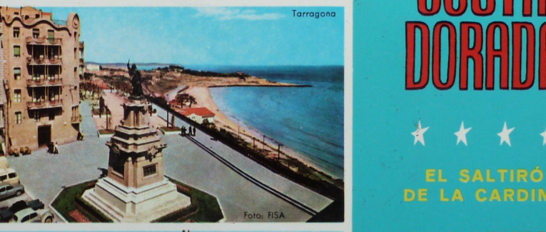 Coveramamanie