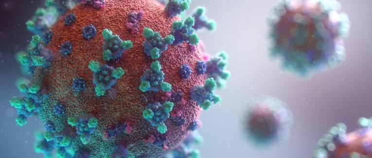 VIRUS