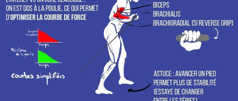Le Bayesian Curl