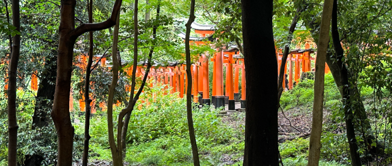 Haiku du printemps