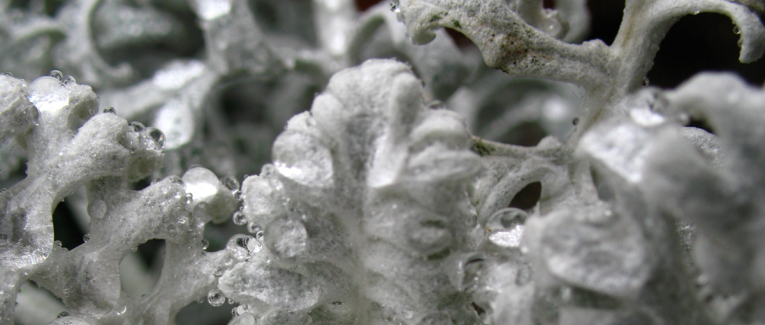 #LinkTober2025 : Vacant