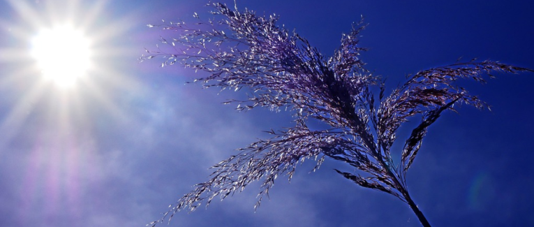 Pour quelques gouttes 