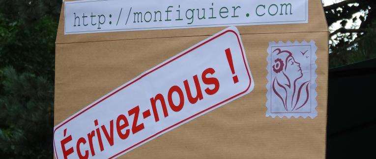 Trop de mots, vraiment ?