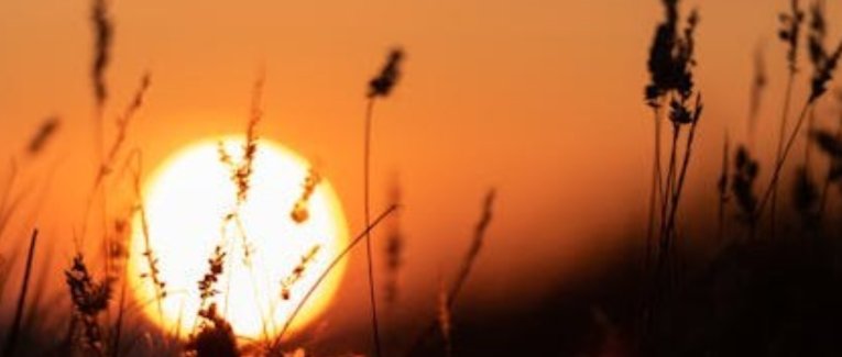 #1. L'univers de « L'Emballement ».