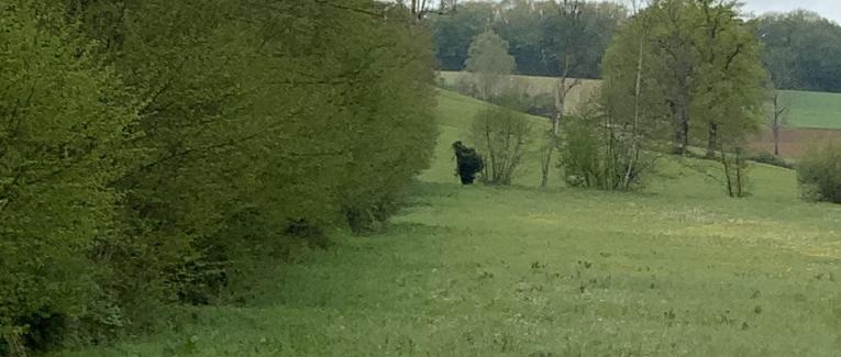 Large sorcière ou vieux vagabond
