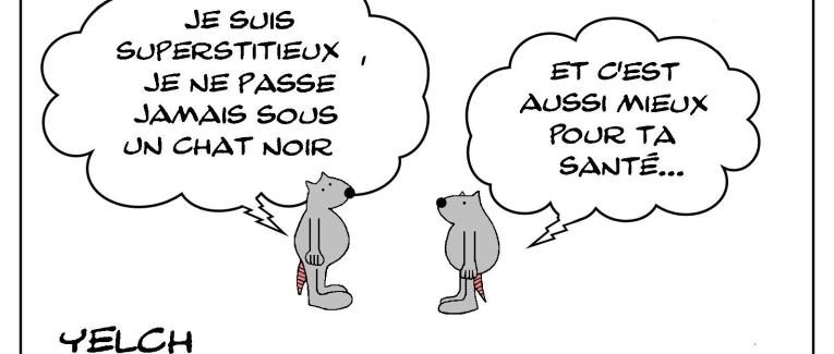 Ne jamais passer sous un chat noir