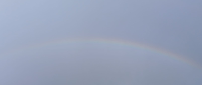 Les Ailes du Silence