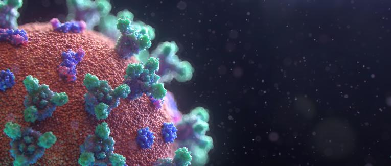 Je m'appelle " CORONAVIRUS "