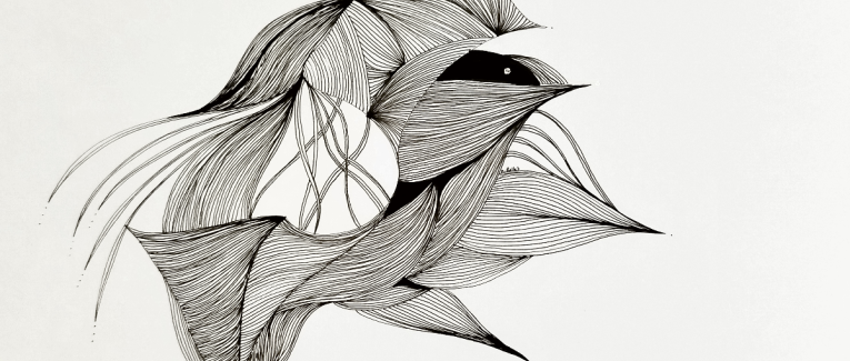 Naissance