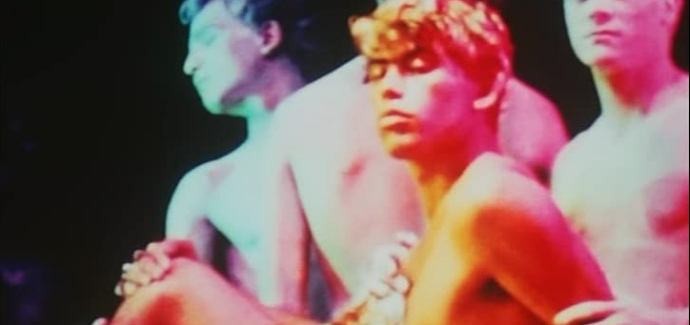 Pink Narcissus (1971) James Bidgood