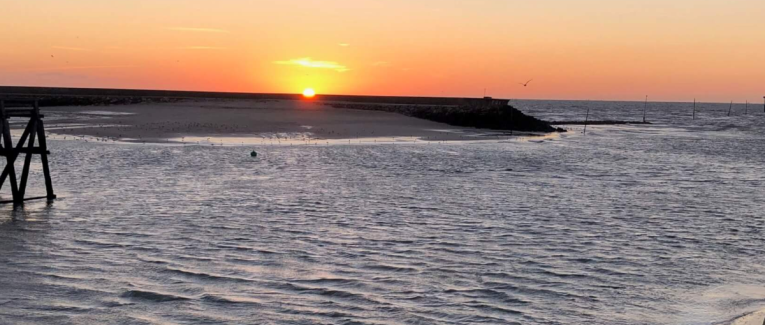 Roman-photo : “Aller voir ailleurs si j'y suis.”