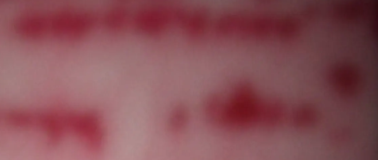 En guise d’avant-propos