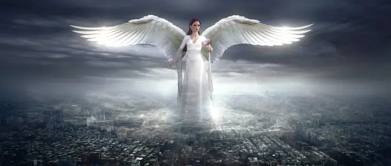 Ange