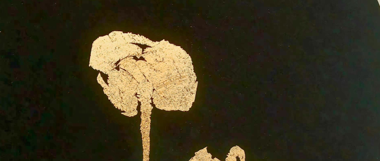 Racine et Botanique de l'Absolu