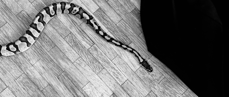 Nagini
