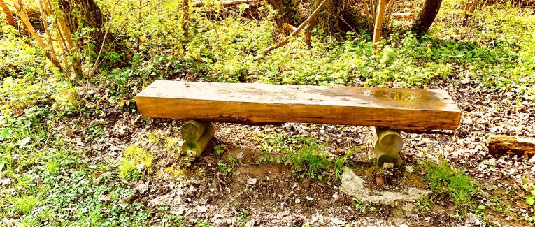 Contemplation sur le banc