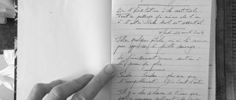 Petits Papiers Volants : Journal D'écriture 2003-2018