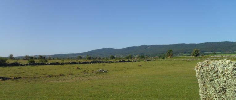 La demande de tutelle