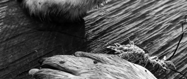 Chronique N°2 : Le Fil invisible (Un Happy End)