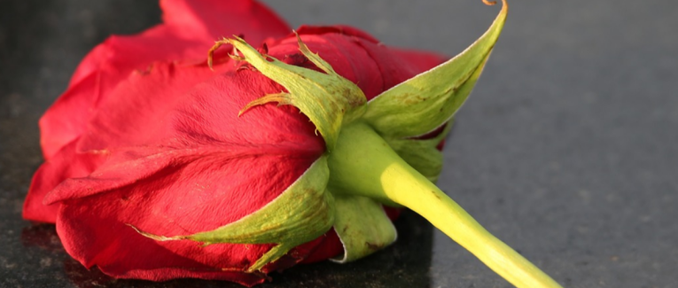 La Toussaint, sur la tombe de ma mère 