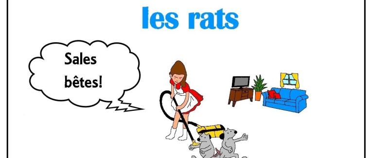 Martine rencontre les rats