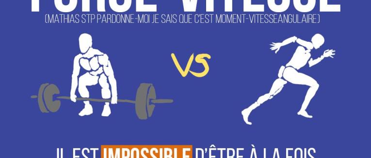 La relation force-vitesse