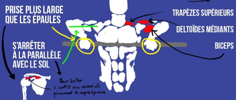 Le rowing vertical