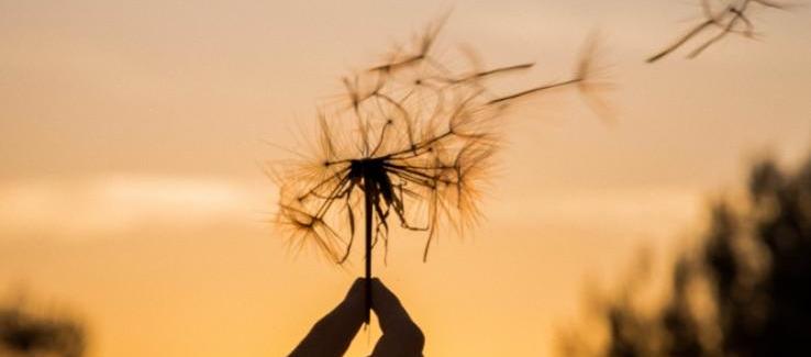 Poeme sur l'Espoir