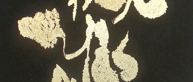 LE BOUCLIER DES TRACES