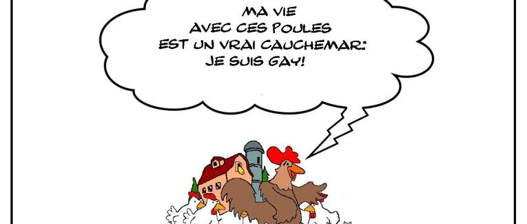 Coq pas gai mais gay