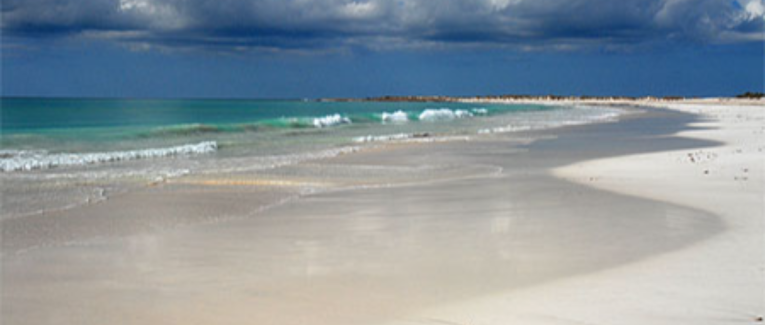 Aphorisme n°5 : Tout passe