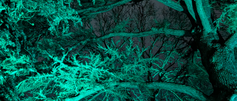 Insomnie, un somme nide ma nuit.