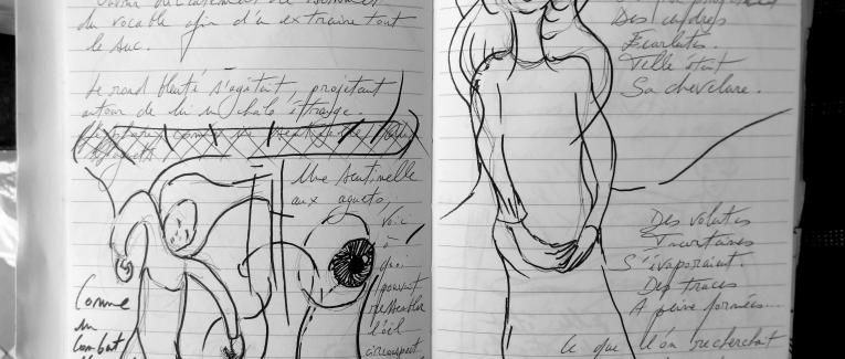 Petits Papiers Volants : Journal D'écriture 2003-2018 - Mardi 9 janvier 2018