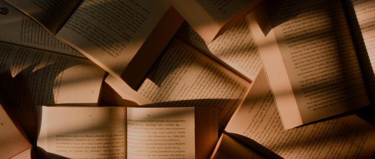 Le salon du livre et de la presse jeunesse 2022 à Montreuil (93)