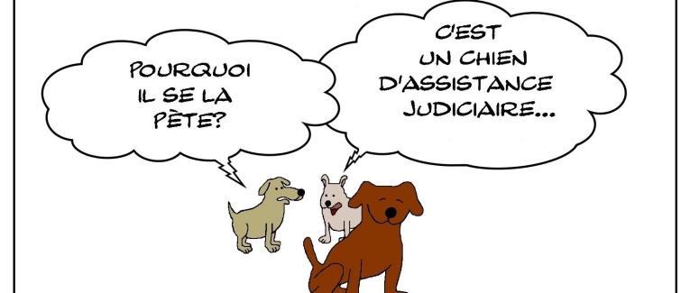 chien médiateur