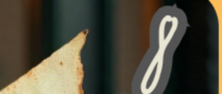 Case 8: Lettre envolée.