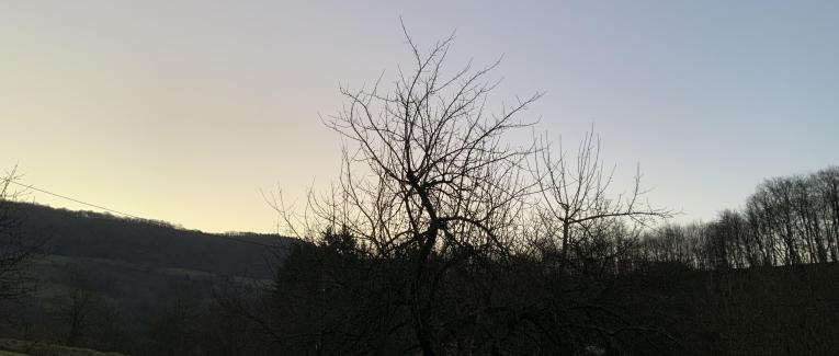 Aube