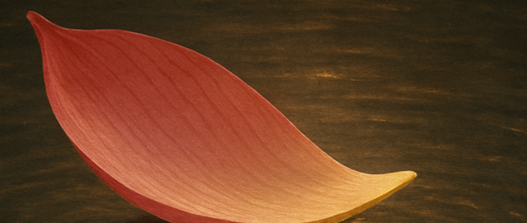 L'indifférence à  l'égard des faibles