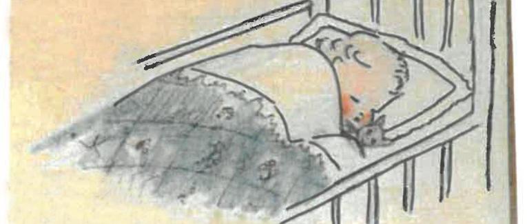 Bambine e bambini in famiglia. Consigli su come accompagnare e migliorare la crescita e lo sviluppo comportamentale dei nostri figli
