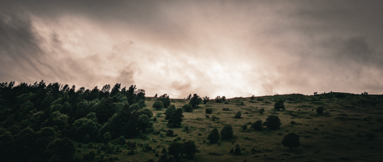 Les mardis de j’aime et je n’aime pas.