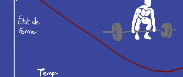Les 3 phases du stress