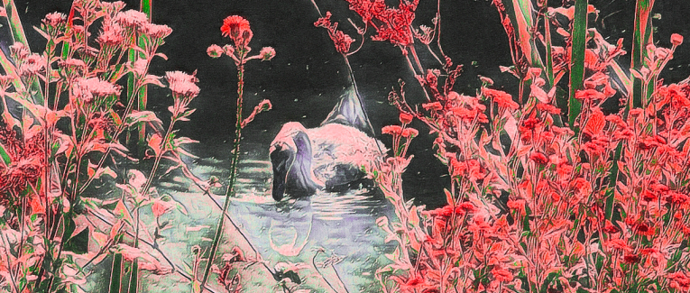 Nostalgie d'une renaissance